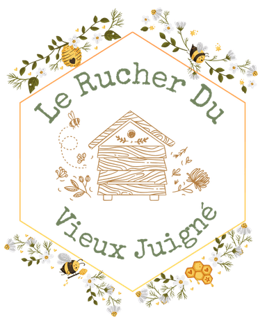 Miel artisanal du Rucher du vieux Juigné – Vente de miel local à Juigné-des-Moutiers
